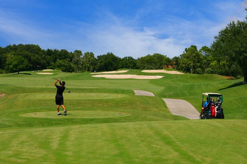 Laurel Oak Golf Course