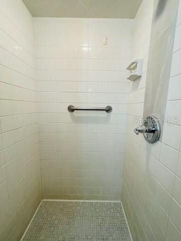 MAIN BATH STEP IN SHOWER