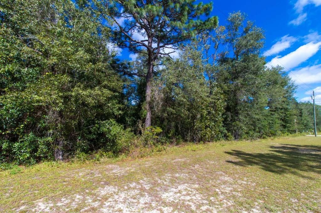 For Sale: $14,999 (0.23 acres)