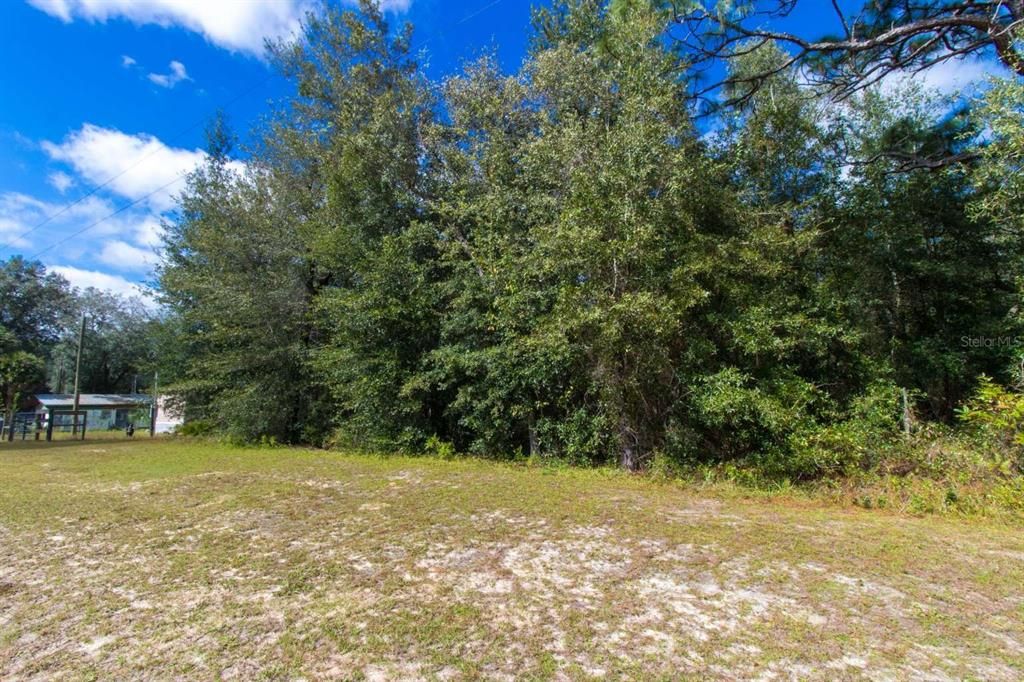 For Sale: $15,999 (0.23 acres)