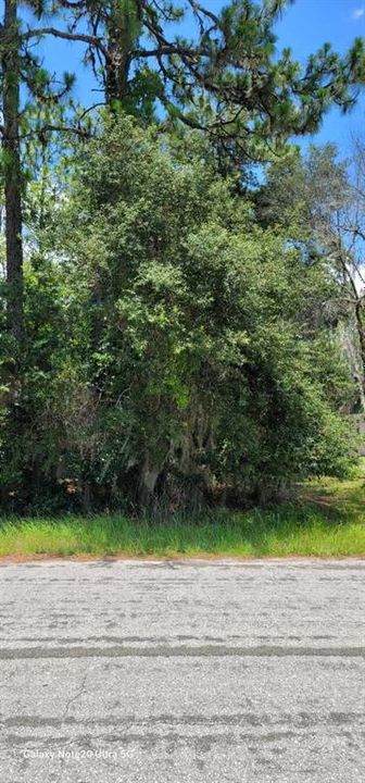 Active With Contract: $19,900 (0.28 acres)