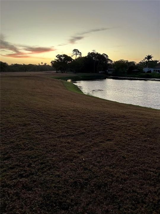 Pre-Dawn, 15th fairway and pond directly across the street.