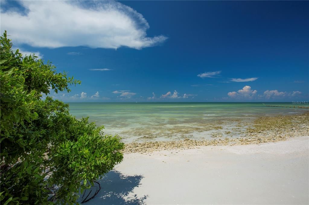 Honeymoon Island in Dunedin