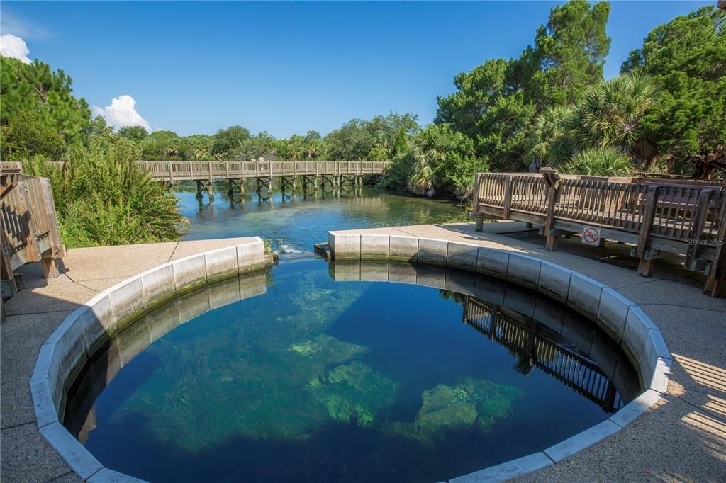 Wall Springs Park in Palm Harbor