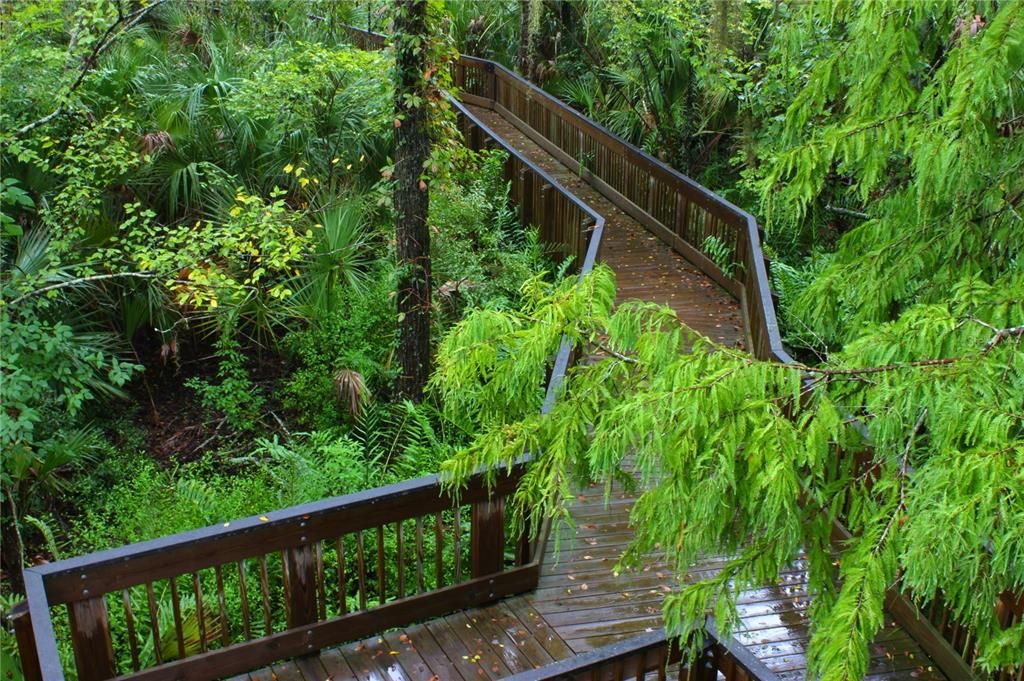 John Chestnut Park on Lake Tarpon