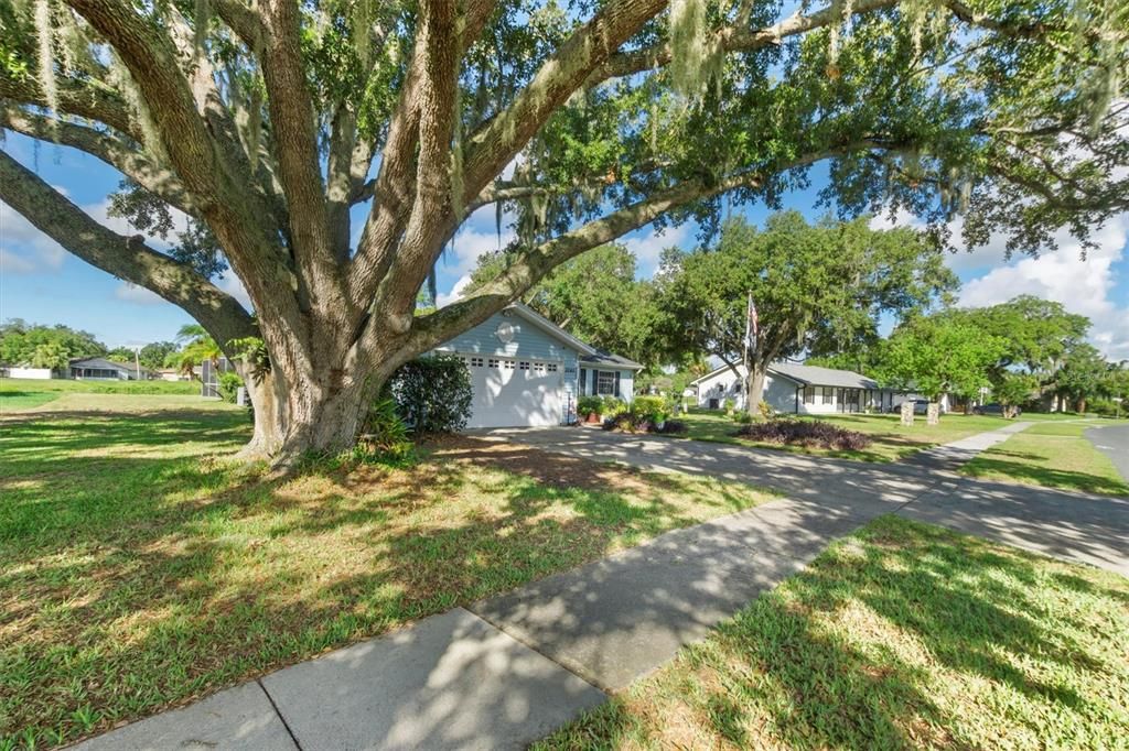 For Sale: $335,000 (3 beds, 2 baths, 1424 Square Feet)