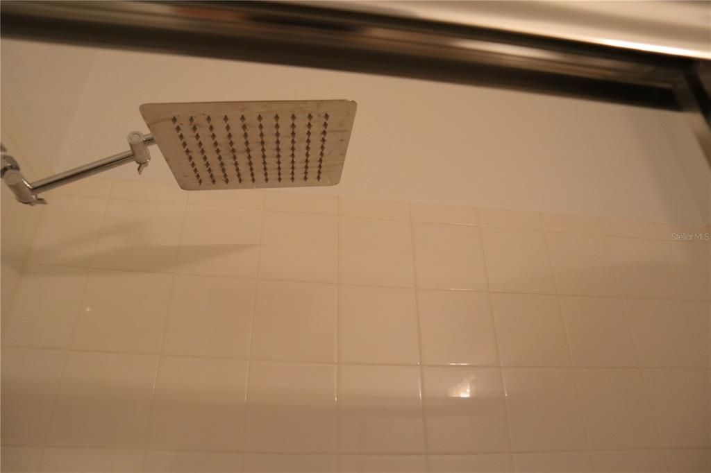 Main bath shower head