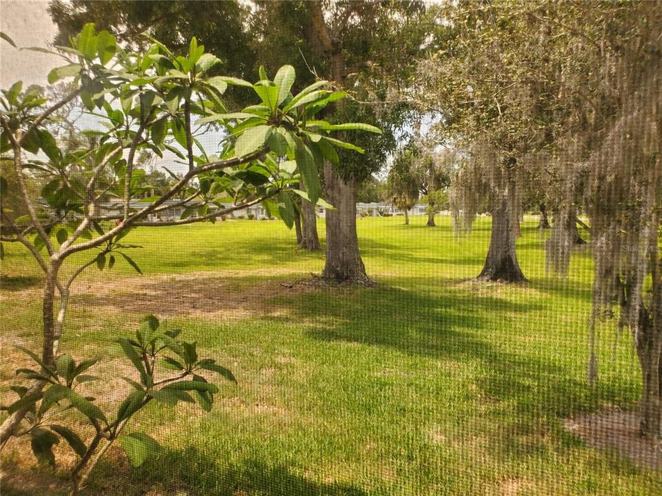 View from lanai