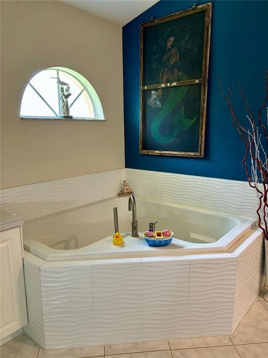 Master Bathroom Tub