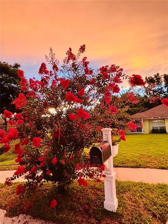 Mailbox at Dusk