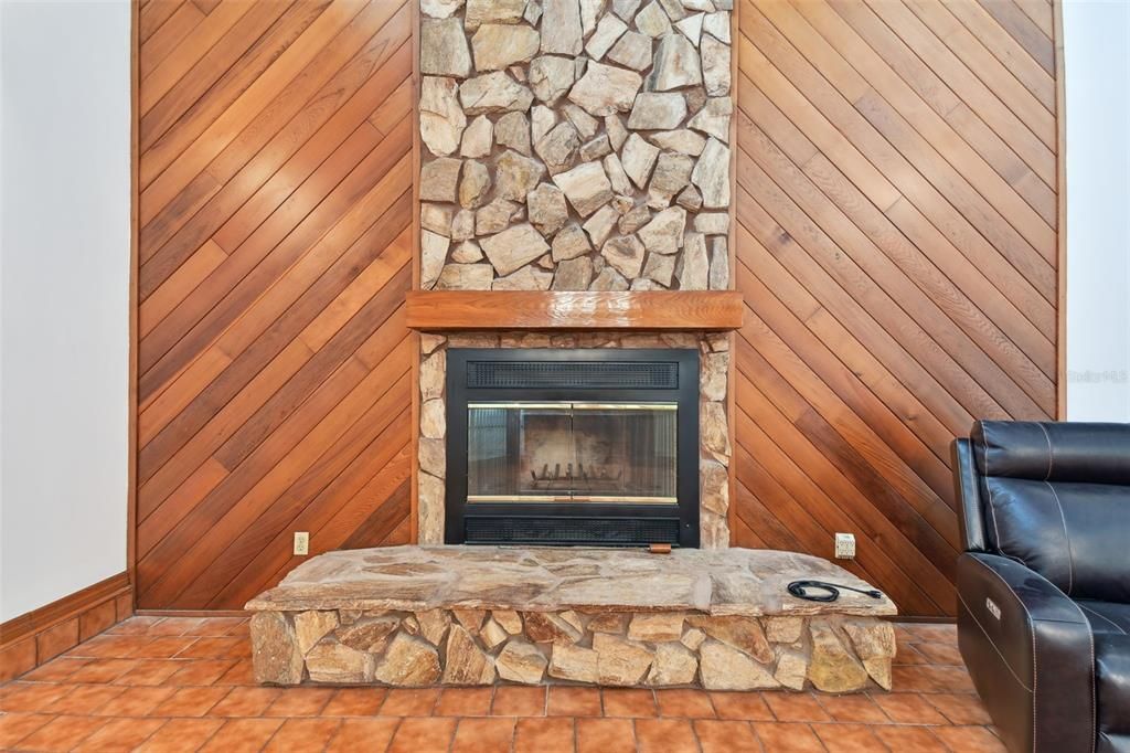 family Room fireplace