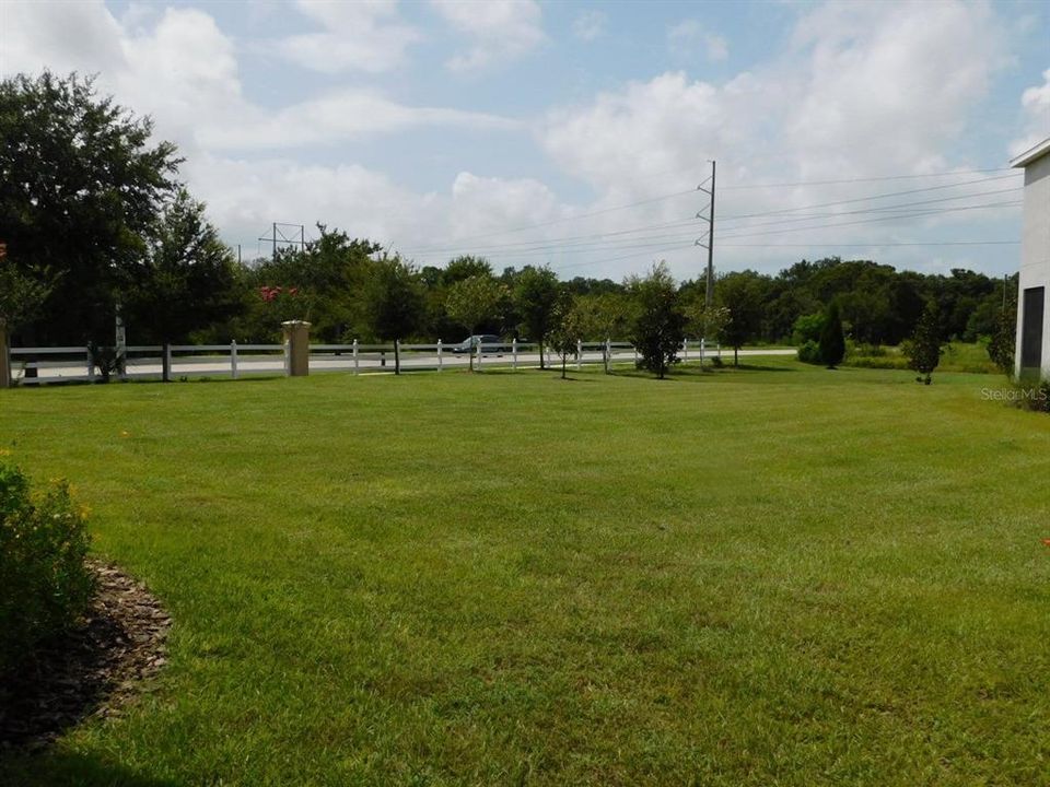 The vacant lot next door from the drive way.