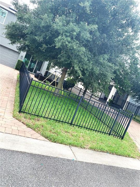 Fenced in Yard