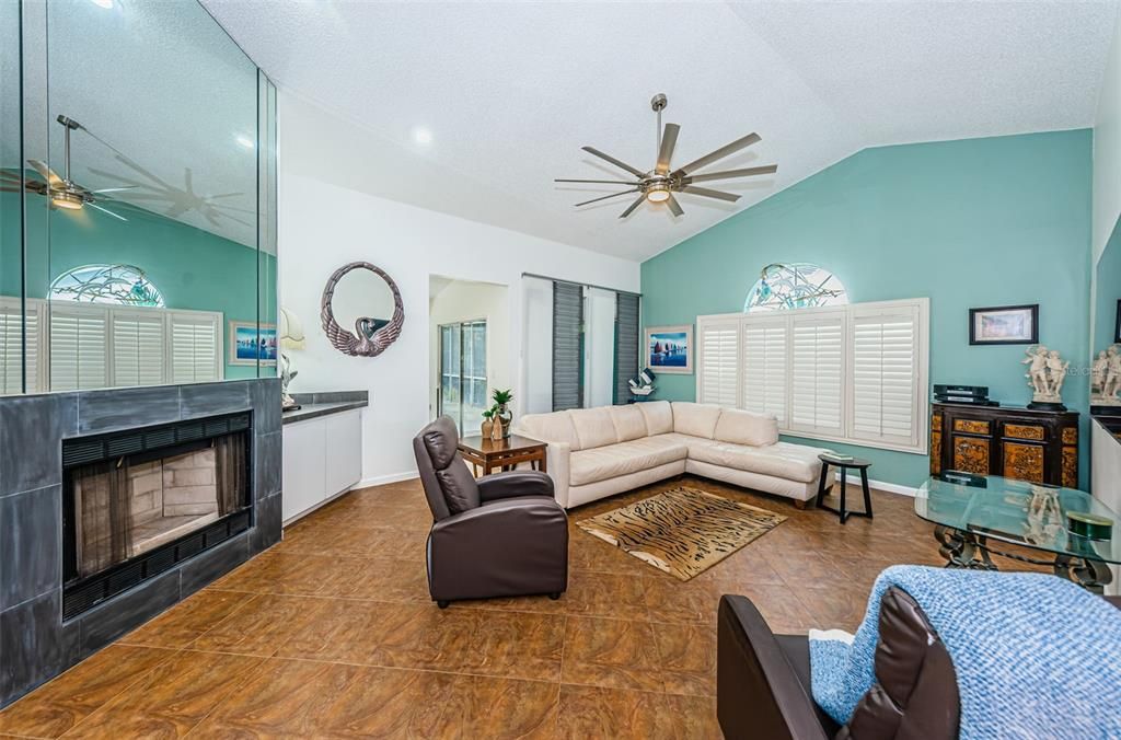 Living Room and Fireplace