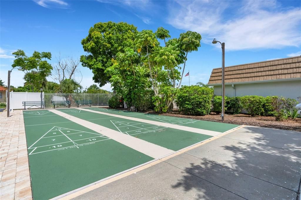 Shuffleboard