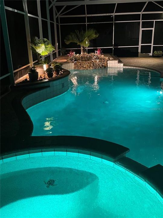 Pool and Spa have custom lighting features