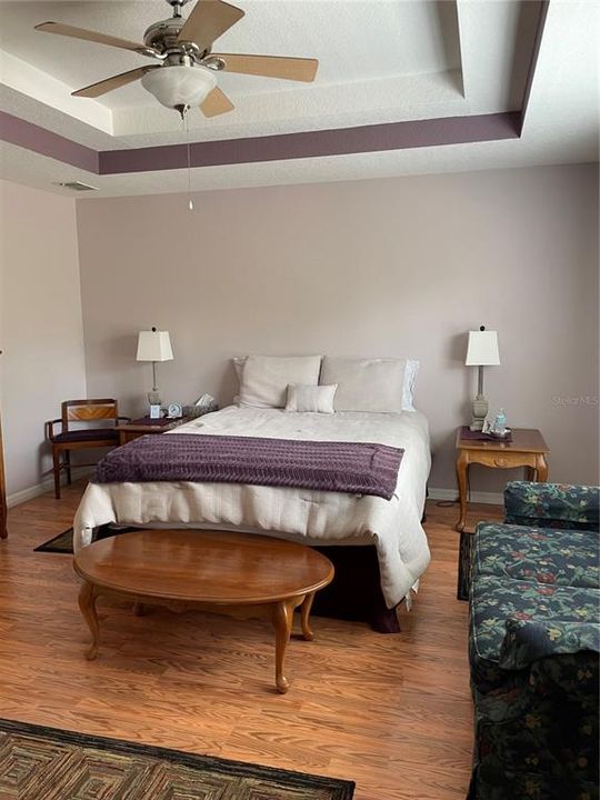 Master Bedroom with Tray Ceiling