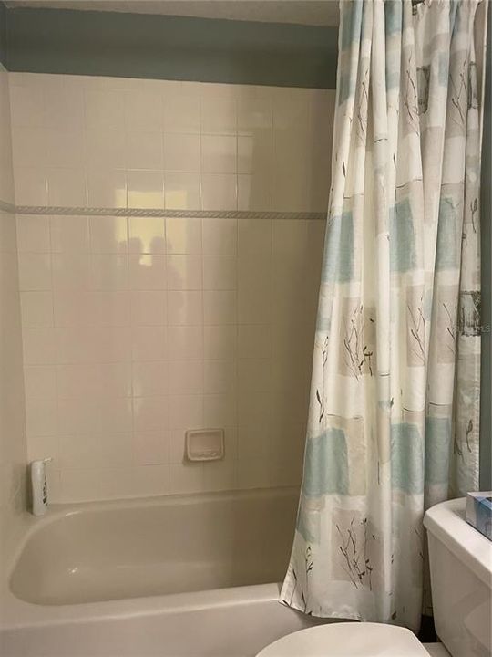 Hall Bath Tub and Shower Combination