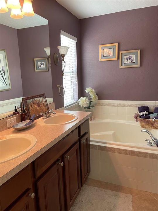 Master Bathroom with dual sinks and Soaker Tub