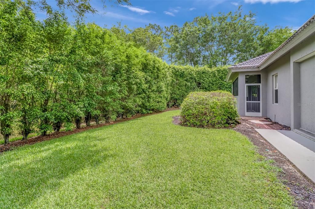 privacy bushes and a view of the backyard lake