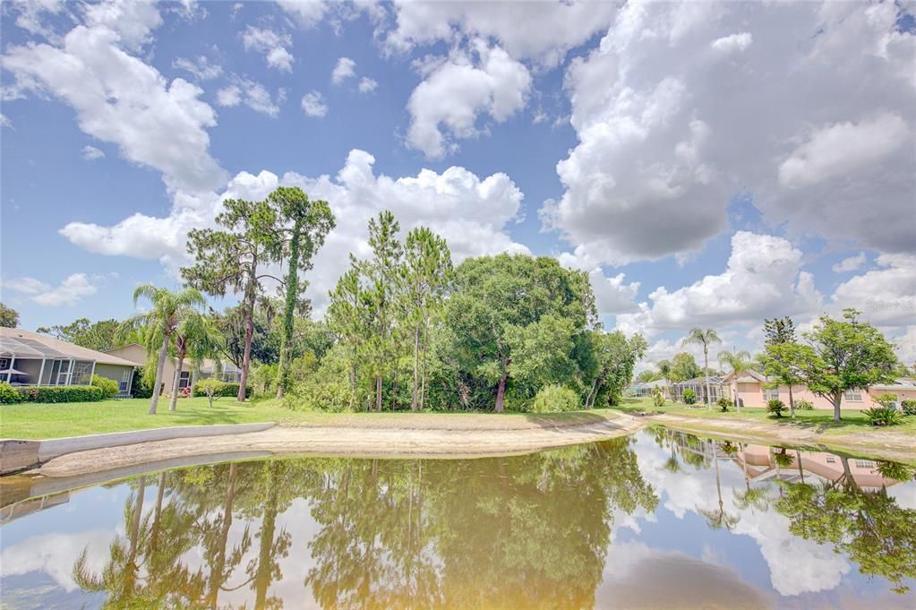 Pond Back of House