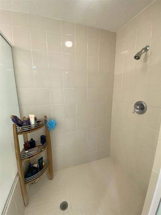 Large primary shower