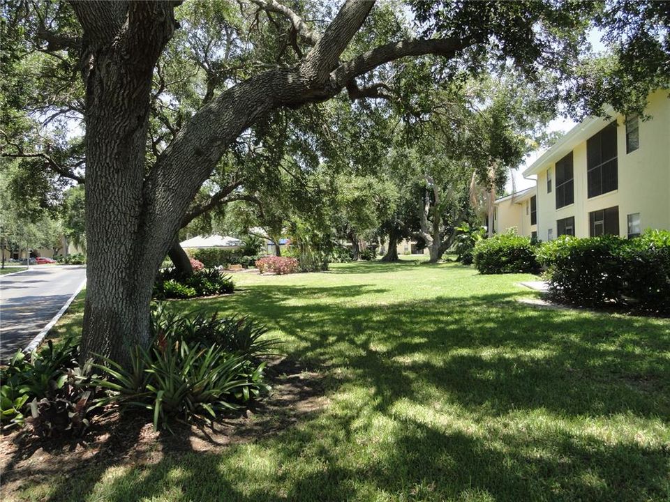 Additional mature trees and landscape across the street from the unit.