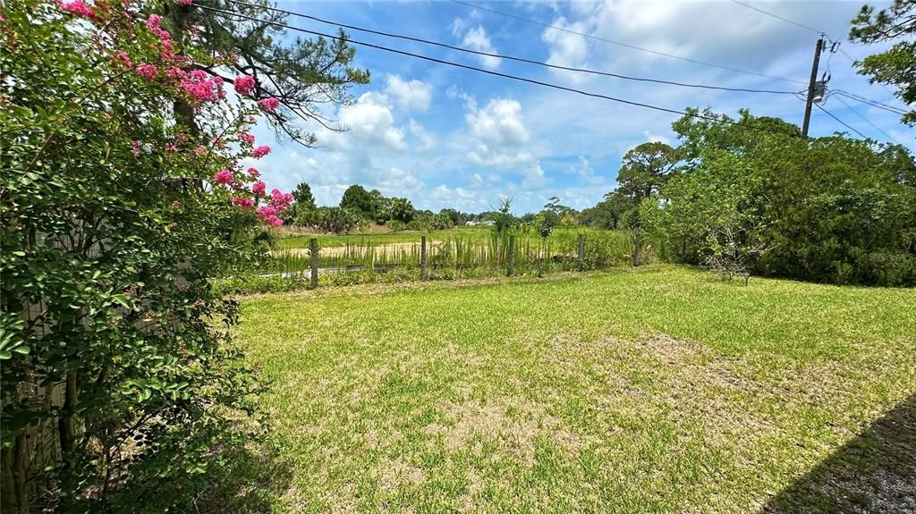 Backyard view facing out to empty field