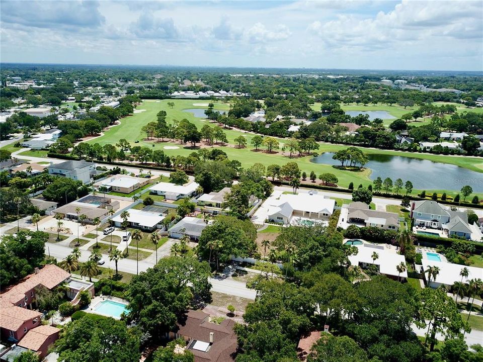 Beautiful Palm tree lined streets