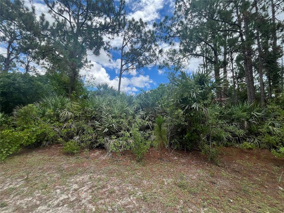 Active With Contract: $38,000 (0.24 acres)