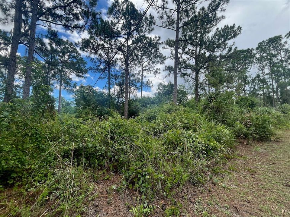 Activo con contrato: $38,000 (0.24 acres)