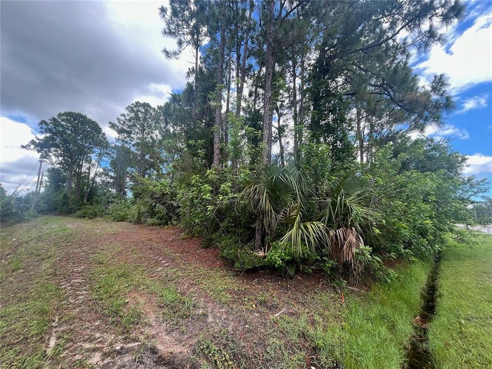 Activo con contrato: $38,000 (0.24 acres)