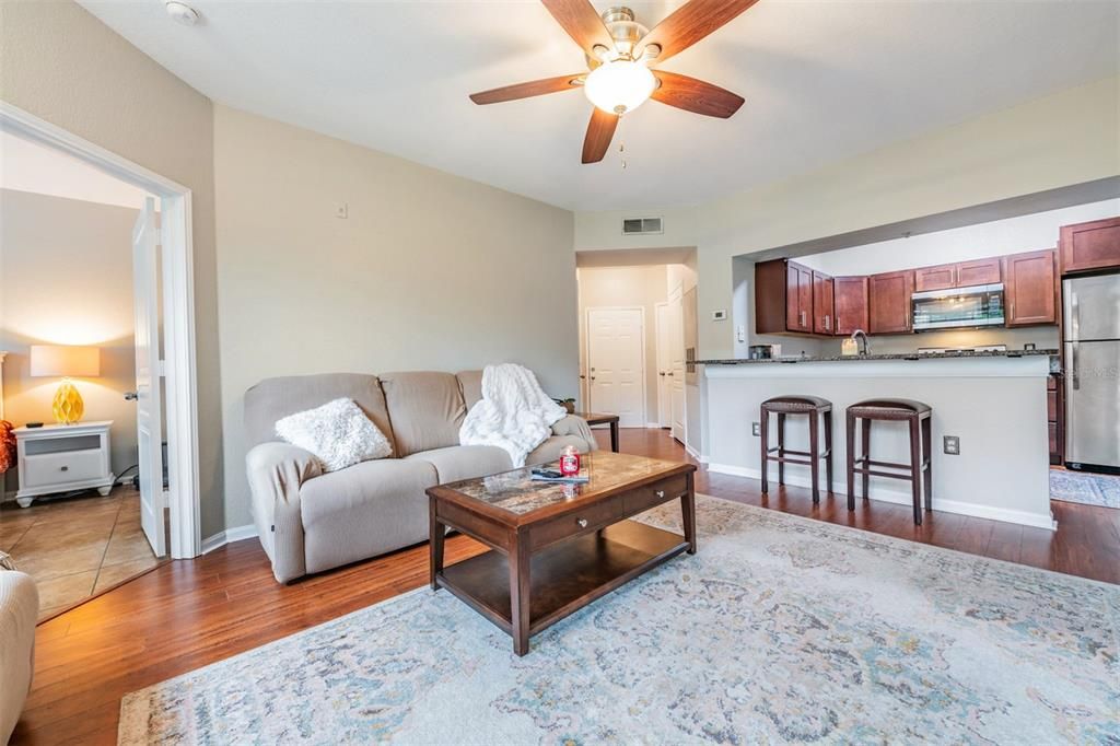 Family Room open to the kitchen, lots of sunlight, ceiling fan with light