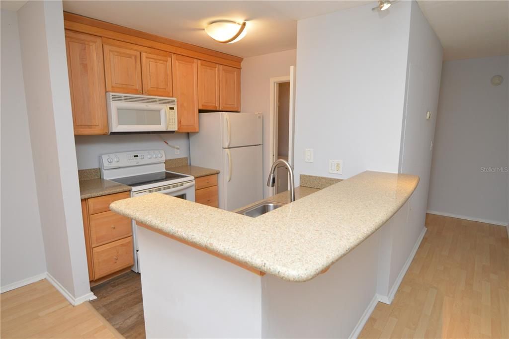 Recently Rented: $1,375 (1 beds, 1 baths, 615 Square Feet)