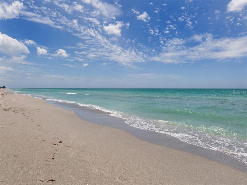 Relax and take in the pristine beaches in the Gulf of Mexico at Venice Beach