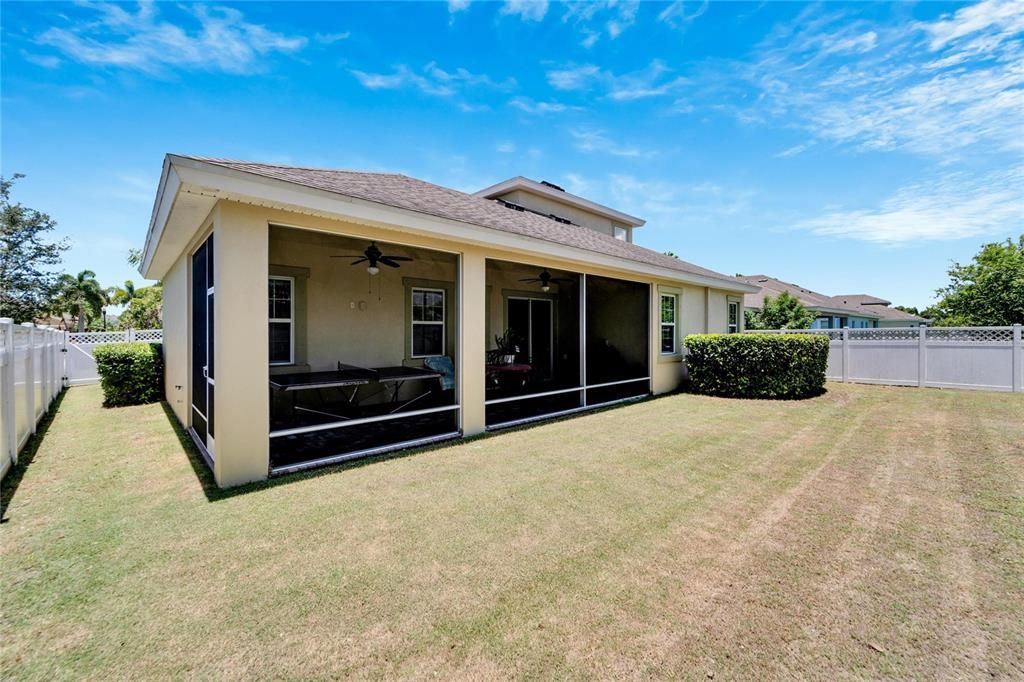 Backyard Side View