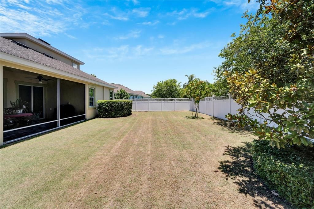 Backyard, room for a pool