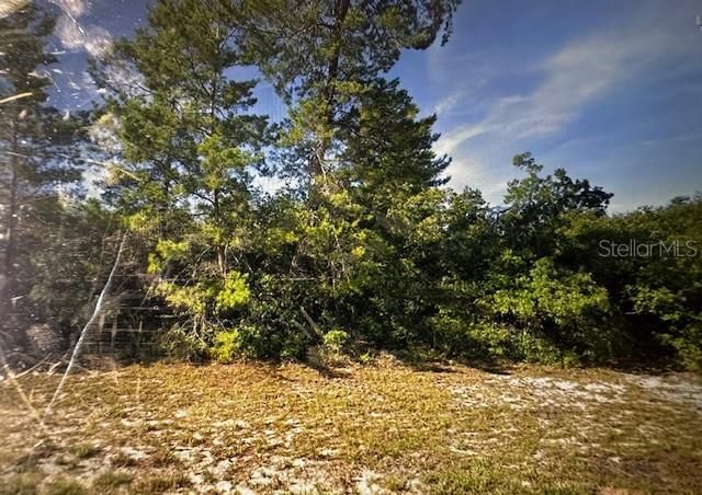 Active With Contract: $40,000 (0.34 acres)