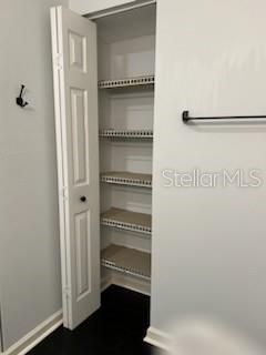 Bathroom Linen Closet