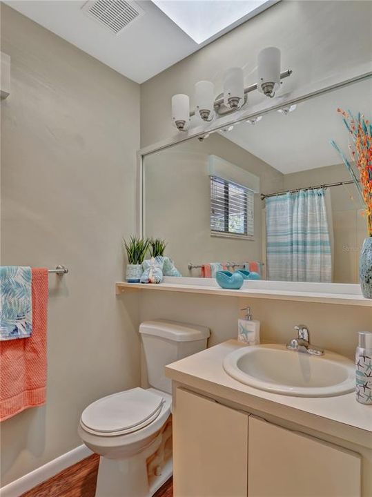 Guest Bathroom with a skylight for more natural light!