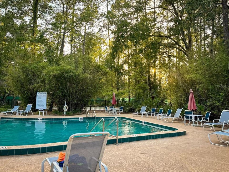 Cool off in the pool!