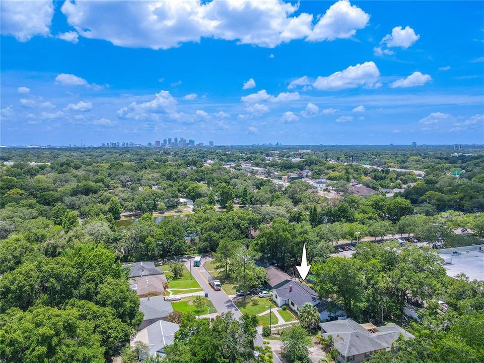 View of Tampa