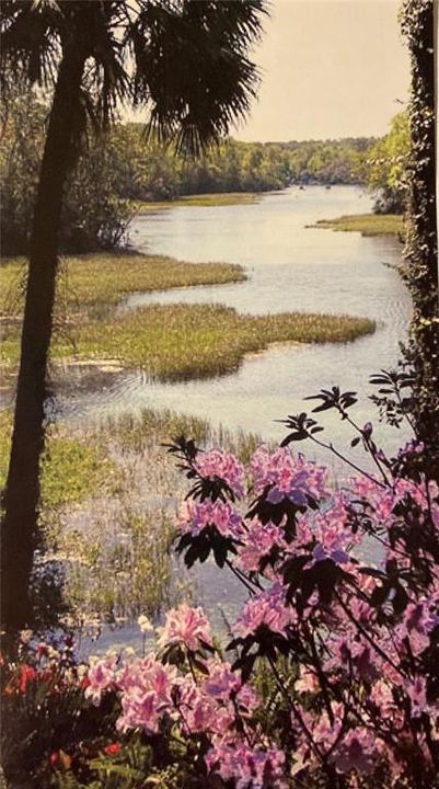 RAINBOW RIVER FROM STATE PARK