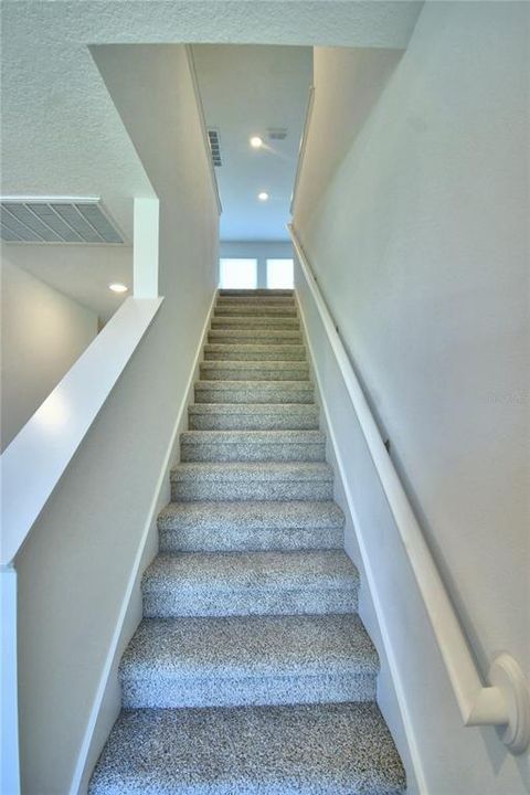 carpeted staircase