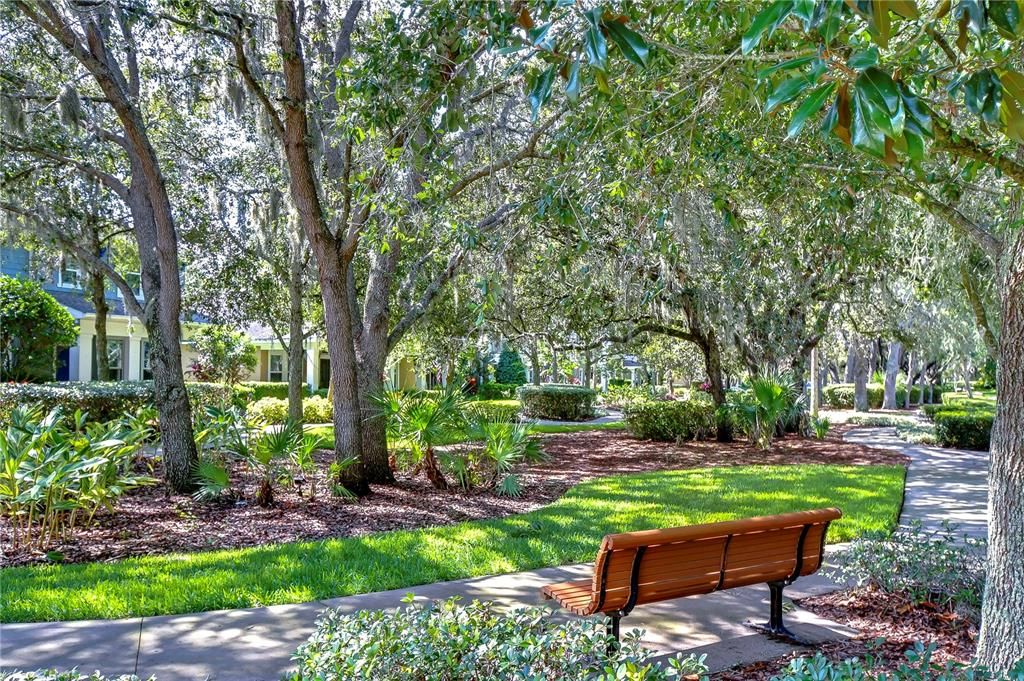 Beautiful park right outside your front door!