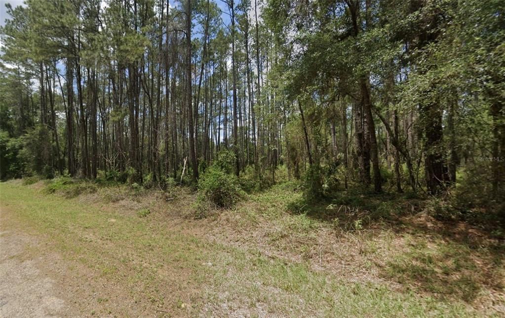 For Sale: $15,000 (0.23 acres)