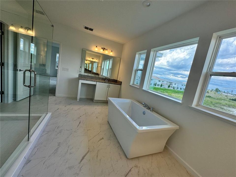 Master Bathroom 4