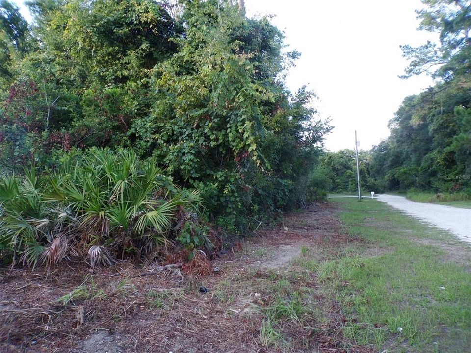 Looking down SW 40th Place Road