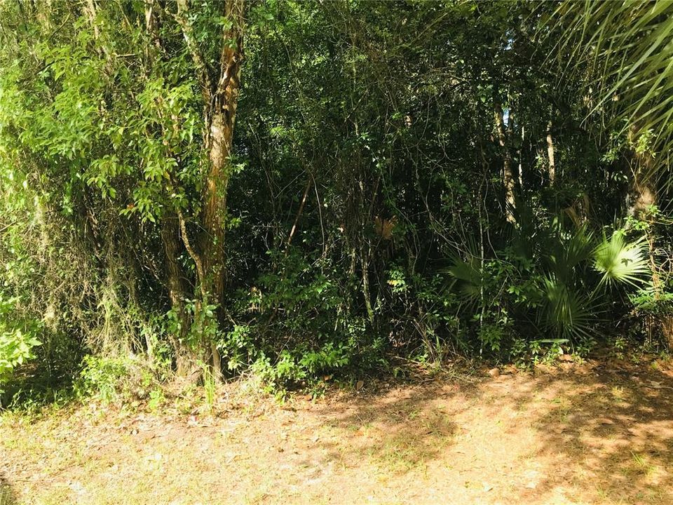 En Venta: $18,500 (0.90 acres)