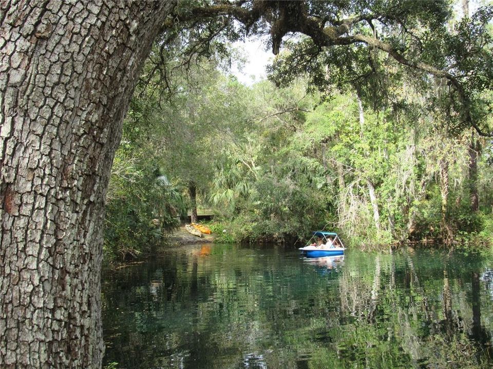 Launch lagoon